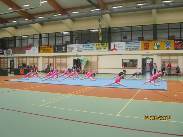 dnio 41